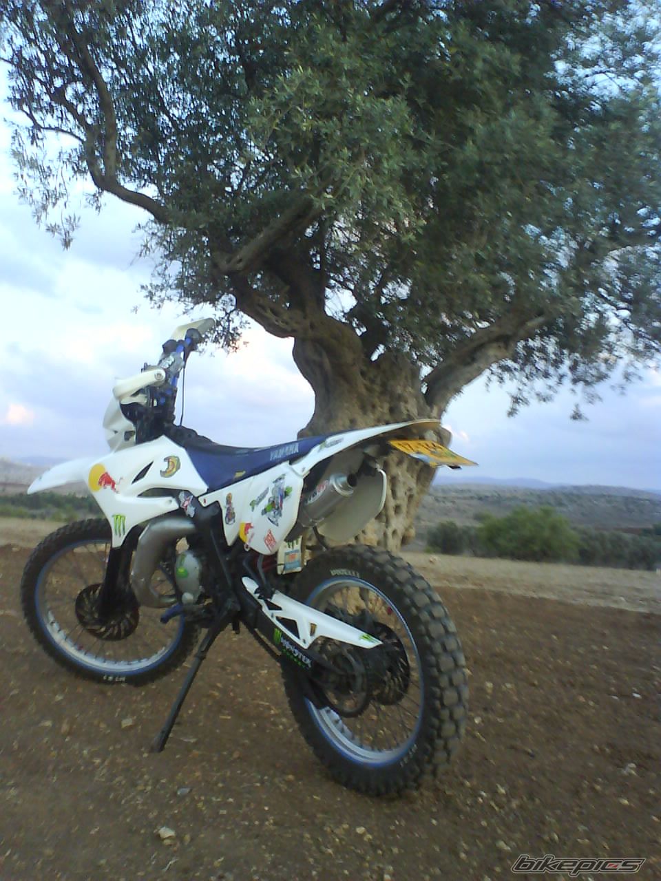 Bike Photo 2104526