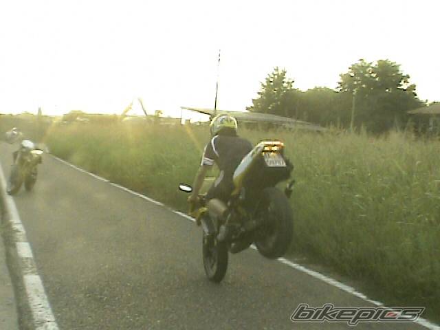 Photo 210459