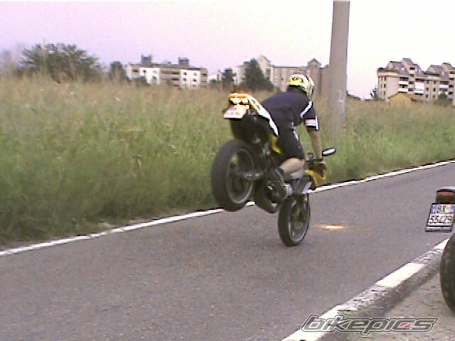 Photo 210460