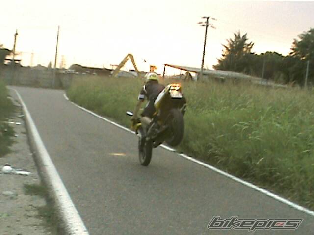 Photo 210461