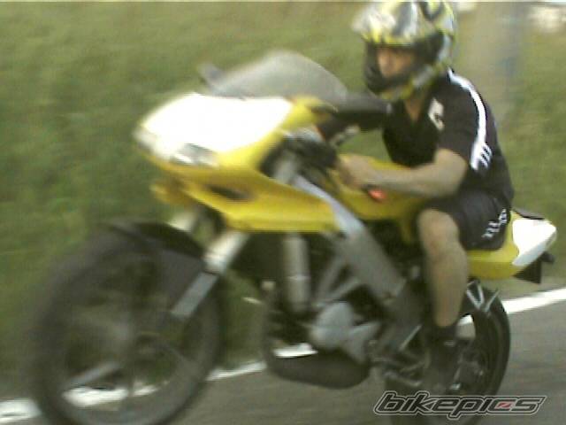 Photo 210462