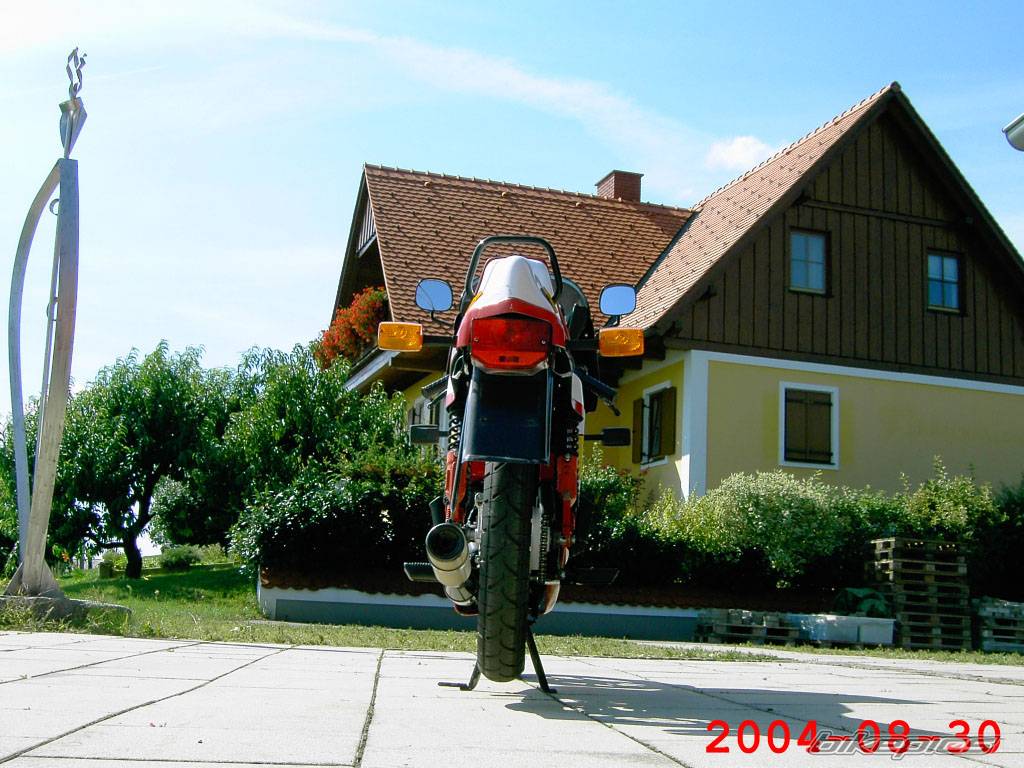 Photo 210483
