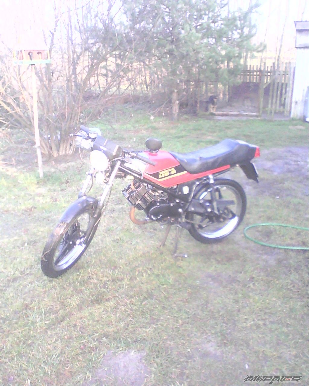 Photo 2104849