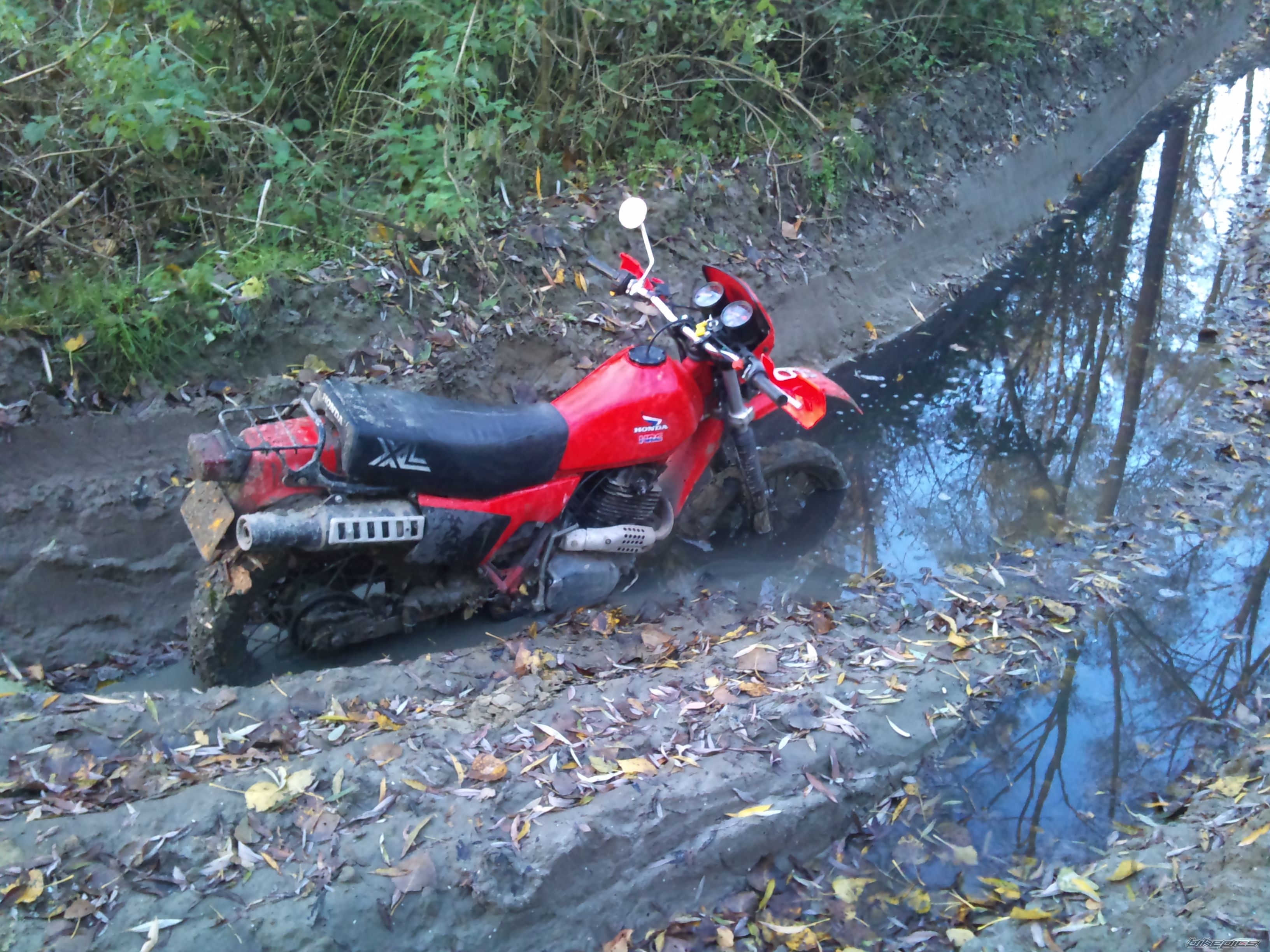 Photo 2104874