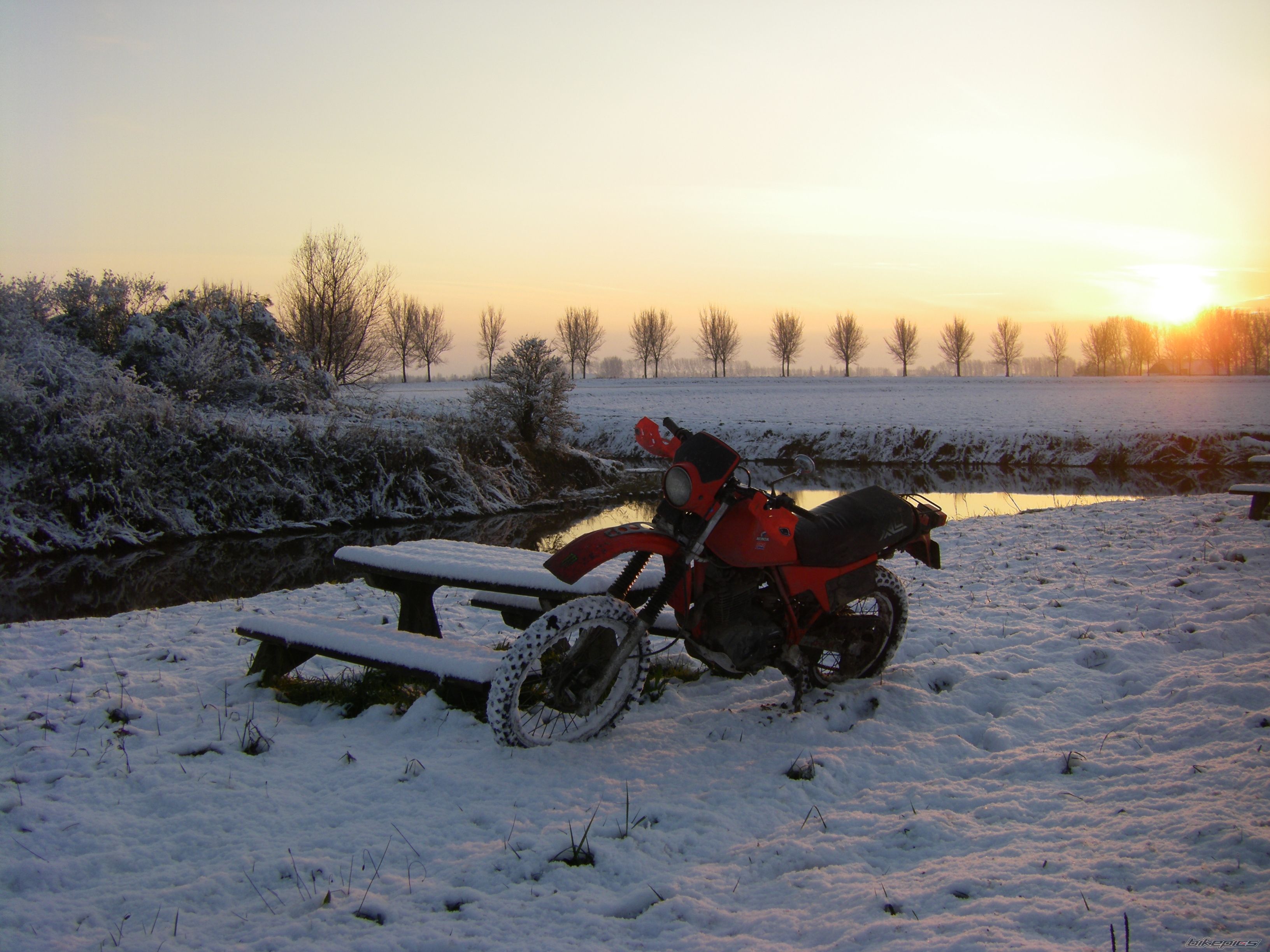 Photo 2105040