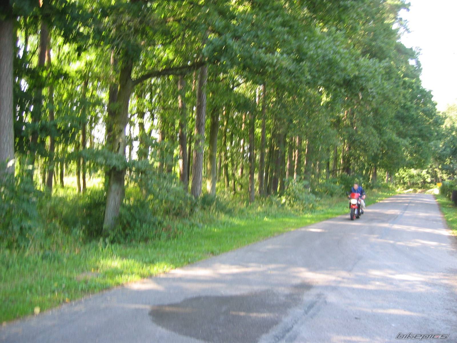 Bike Photo 210536