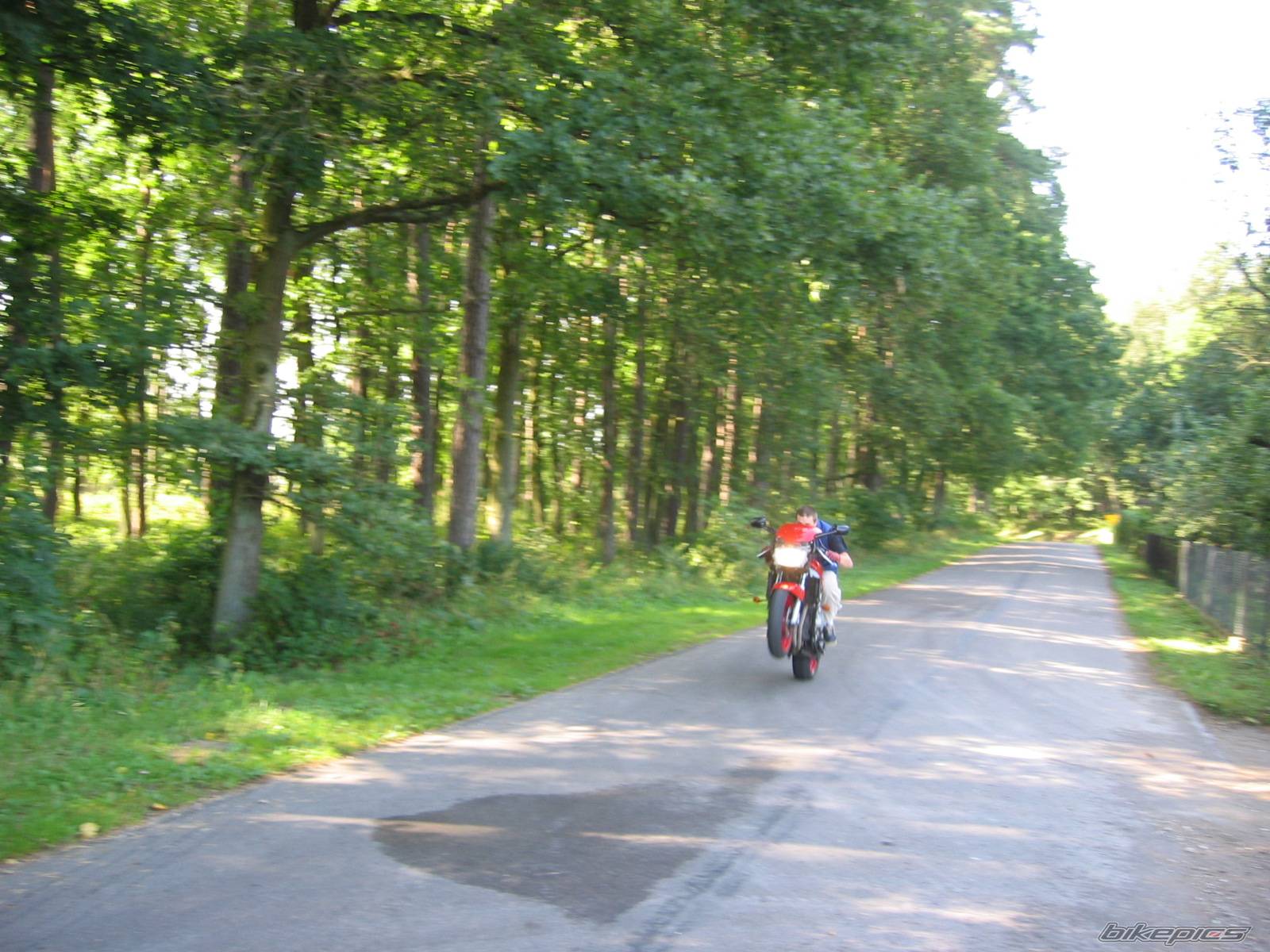 Bike Photo 210540
