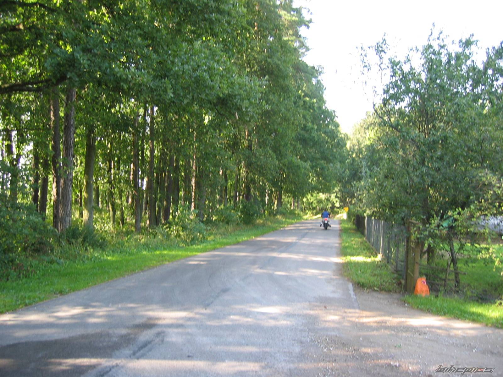 Bike Photo 210541