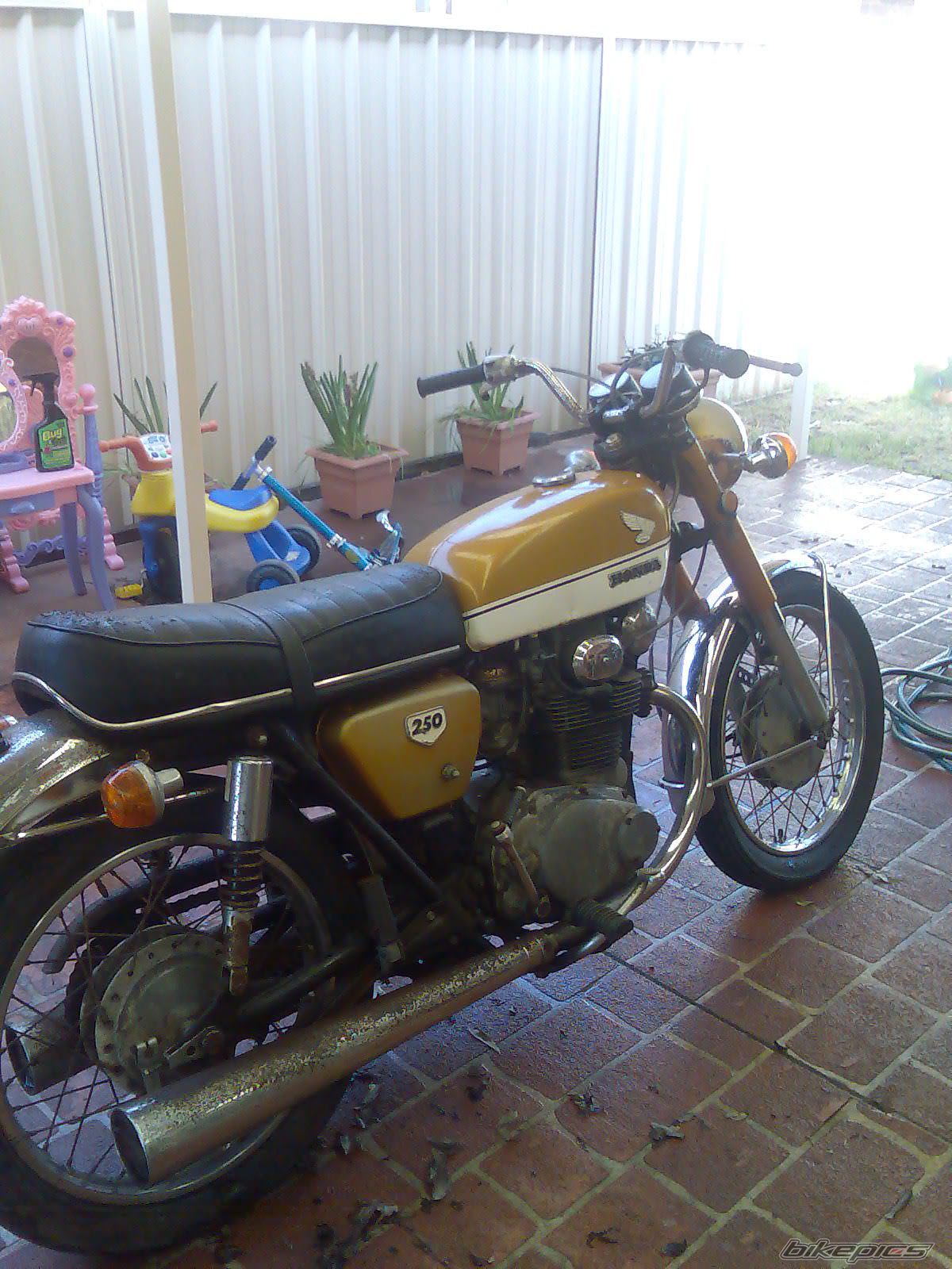 Photo 2105459