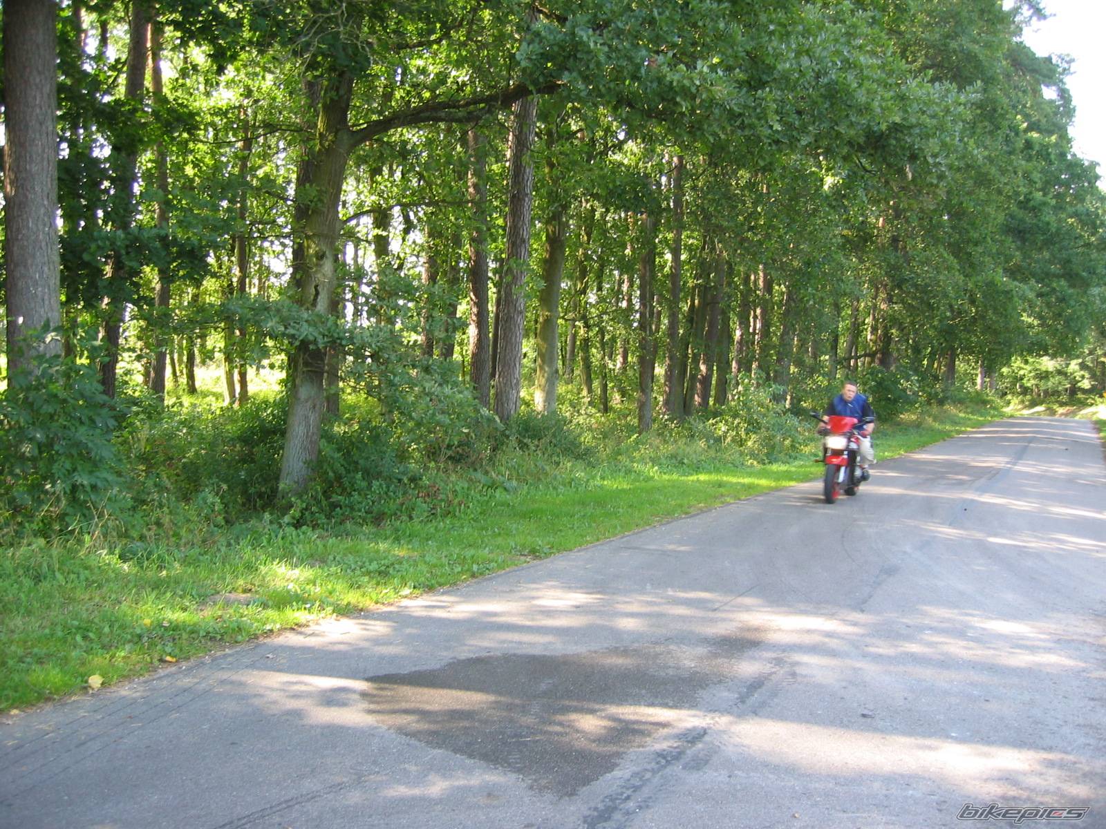 Bike Photo 210552