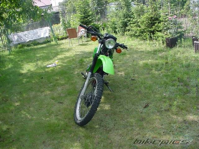 Photo 210553