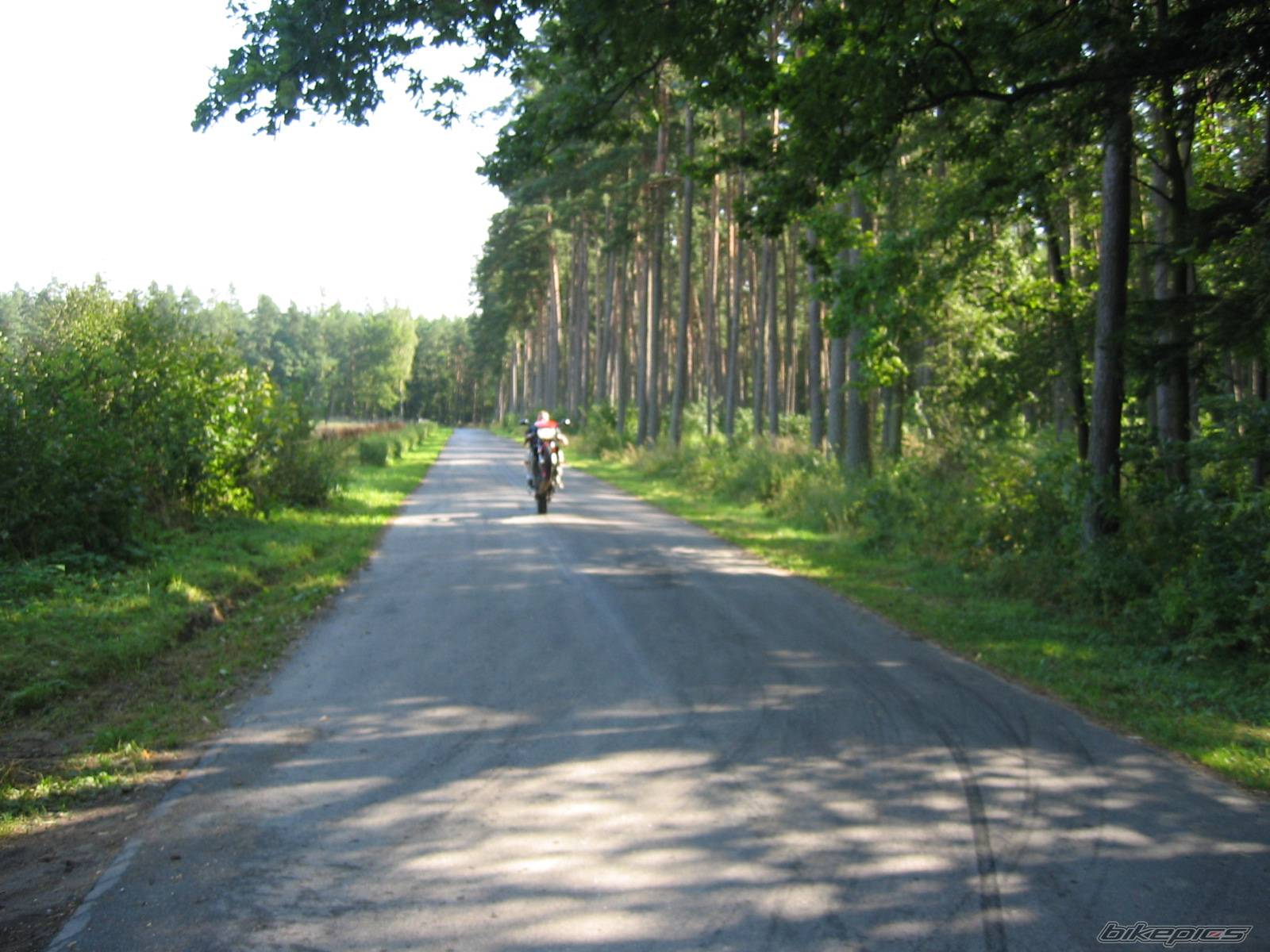 Bike Photo 210555