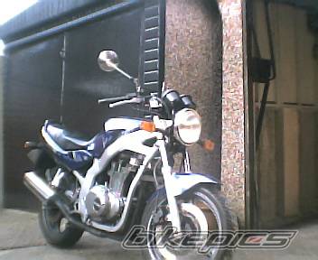 Photo 210563