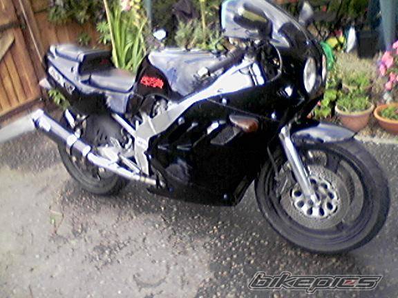 Photo 210569