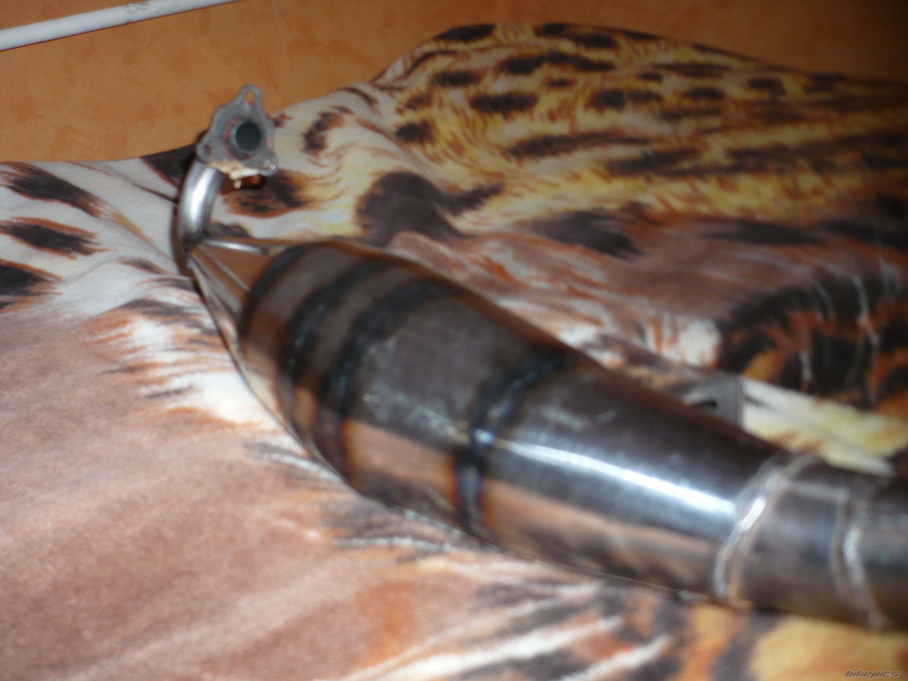 Photo 2106450