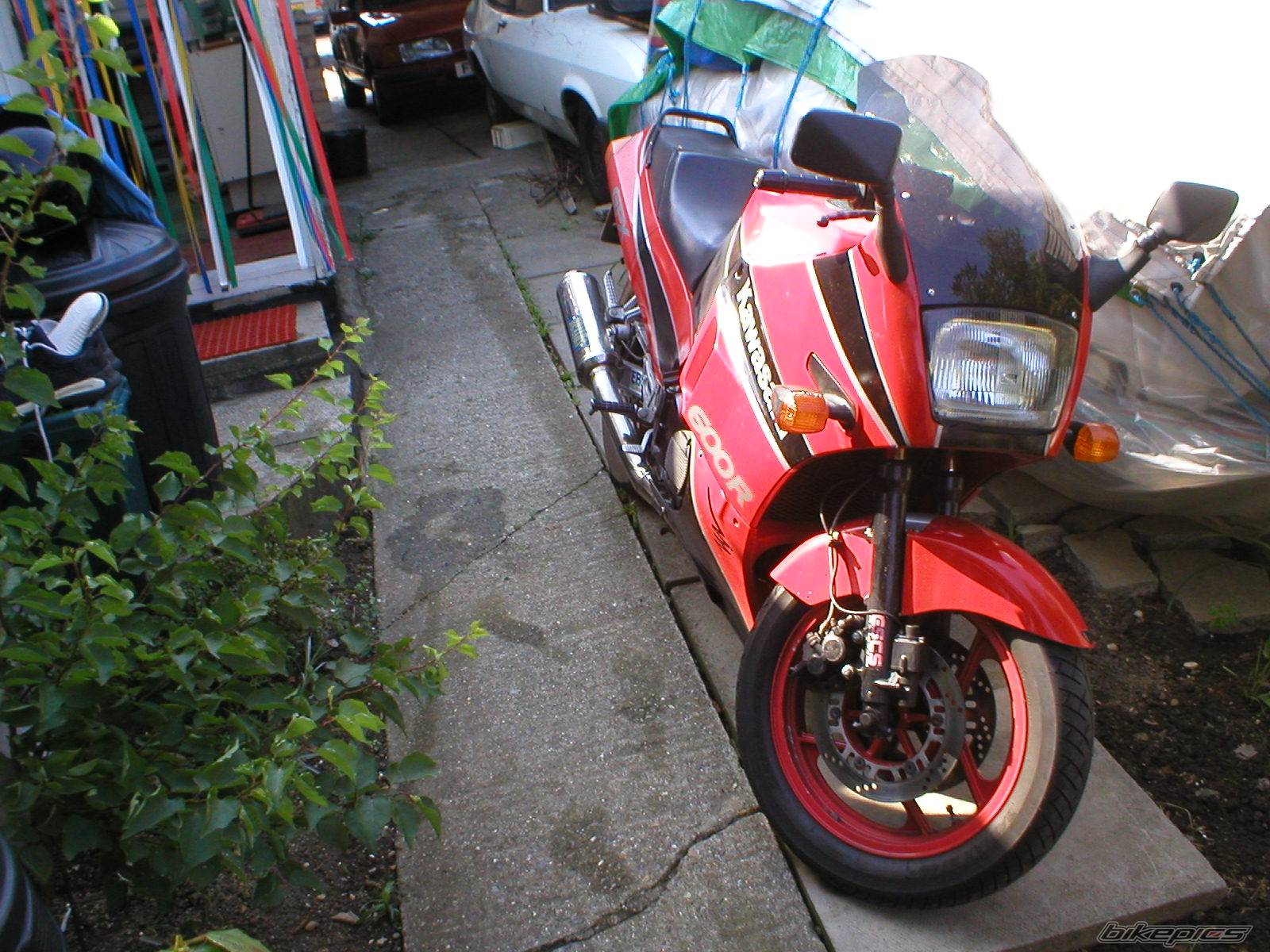 Photo 210646