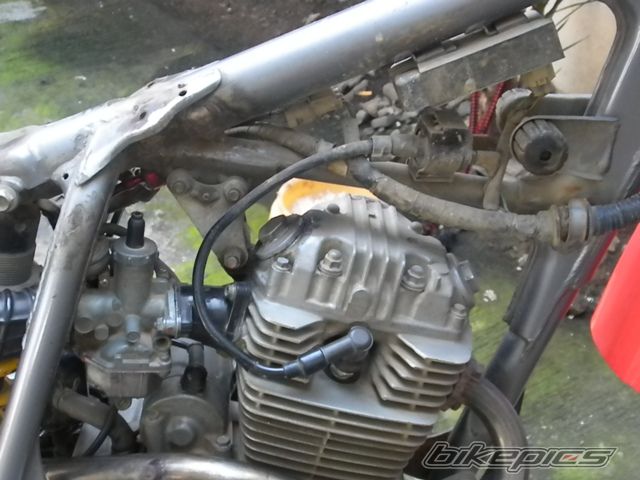 Photo 2106696