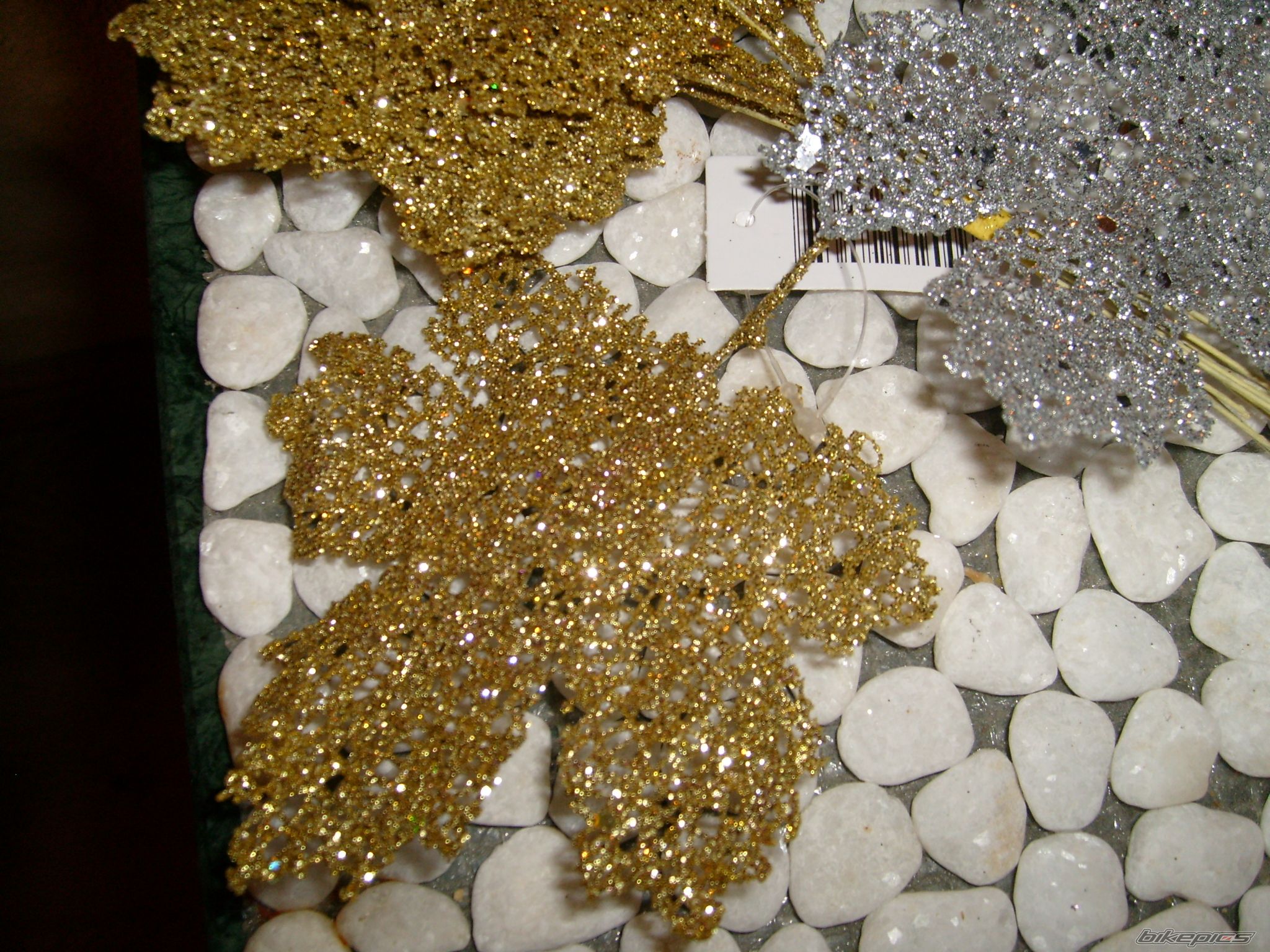 Photo 2106738