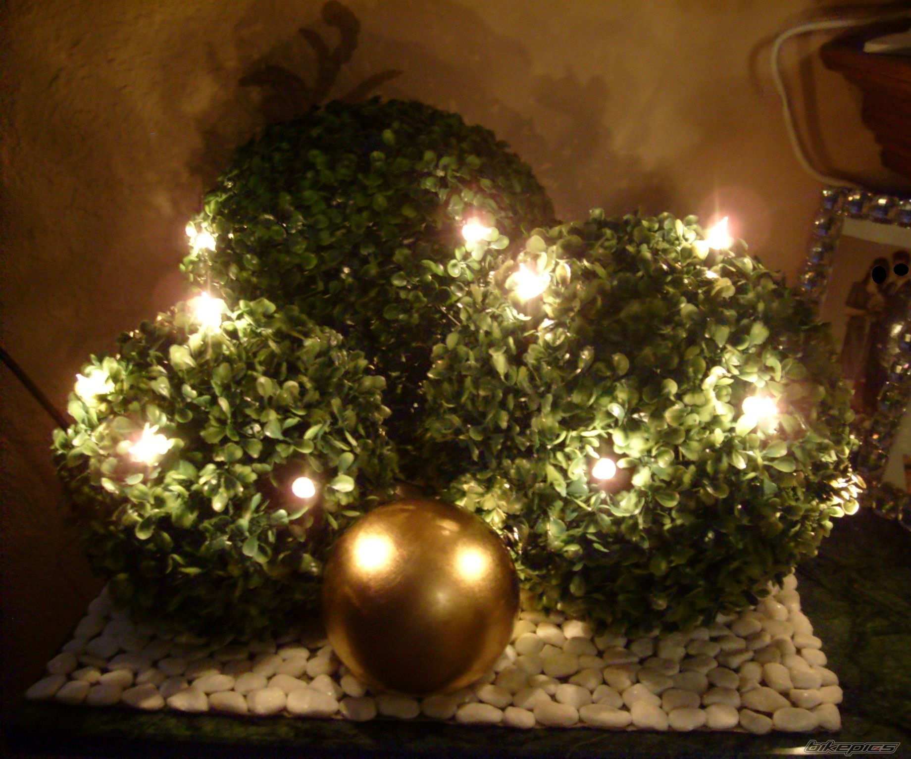 Photo 2106748