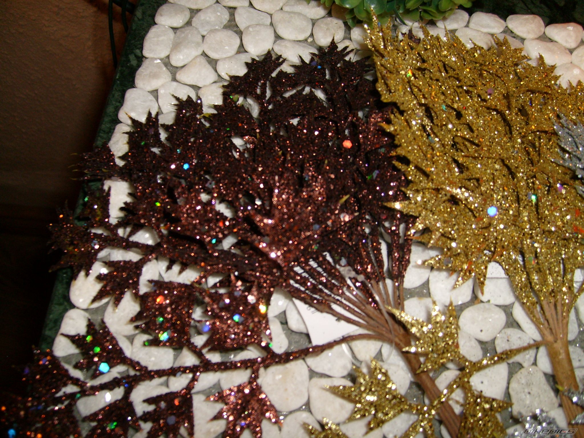 Photo 2106761