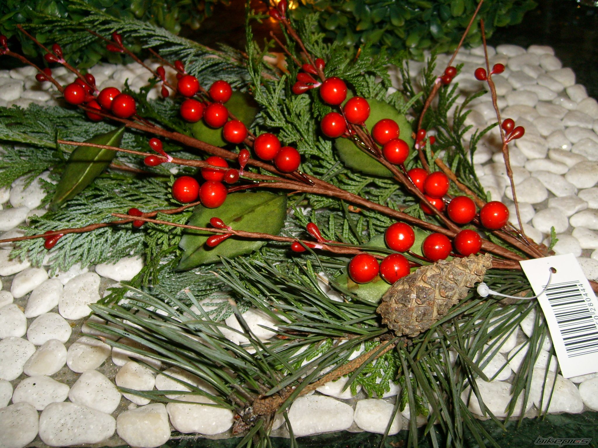 Photo 2106775