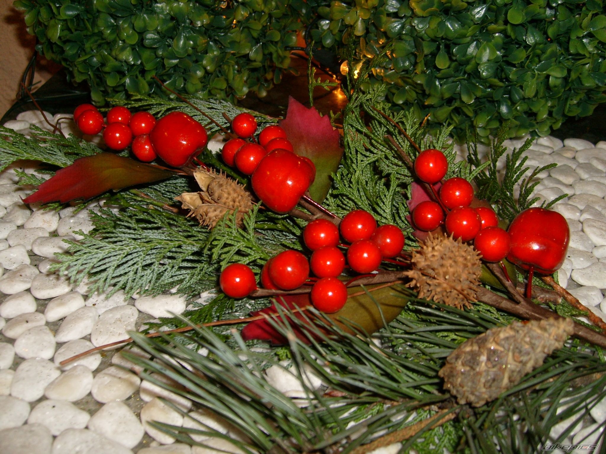 Photo 2106777