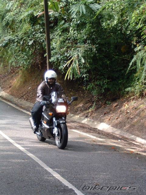 Photo 210678