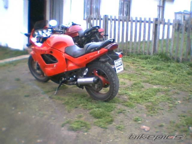 Photo 210685
