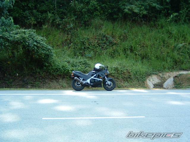 Photo 210687