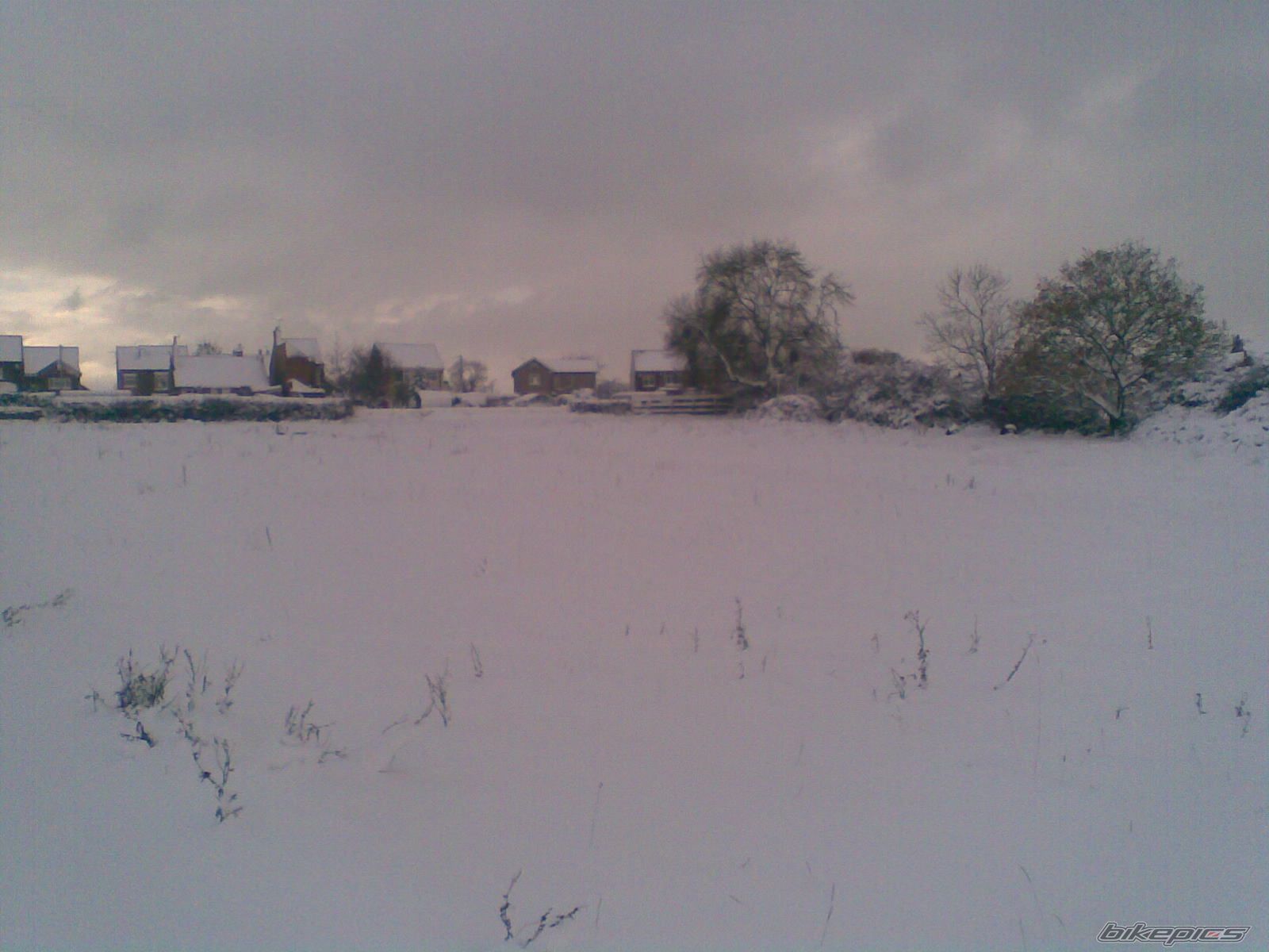 Photo 2107241