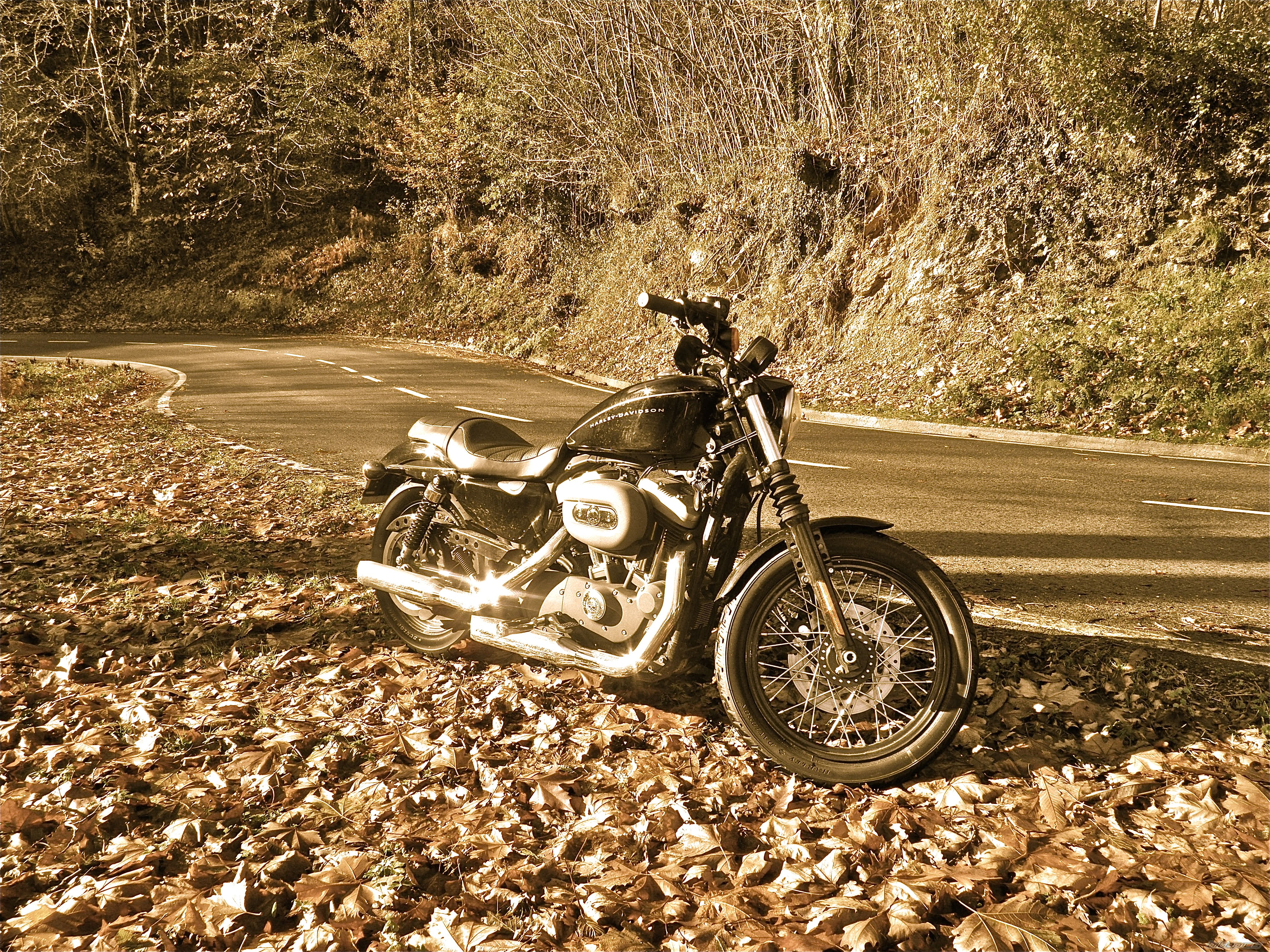 Photo 2107339