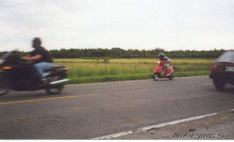 Photo 21077