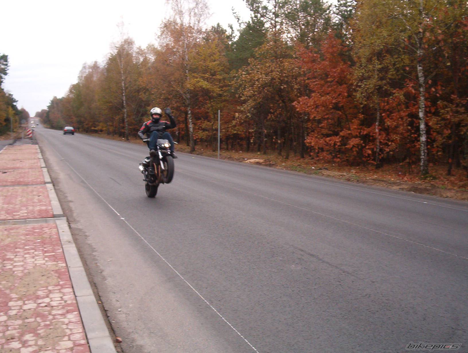 Photo 210773