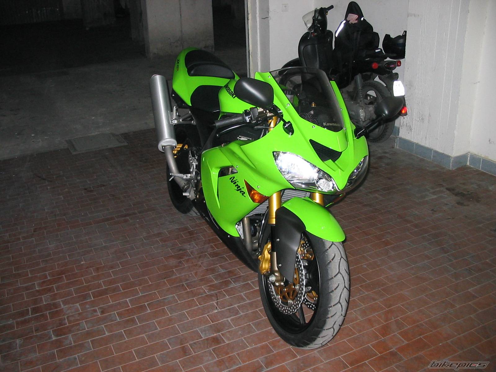 Photo 210776