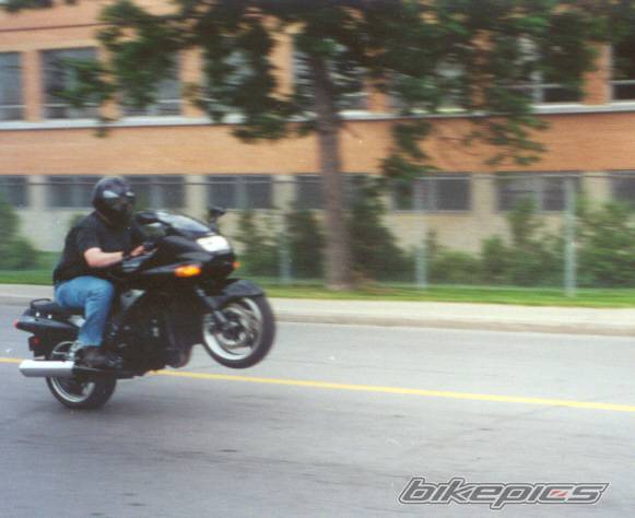 Photo 21081