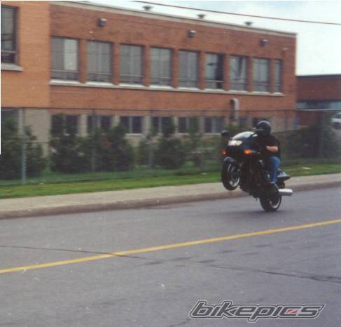 Photo 21082