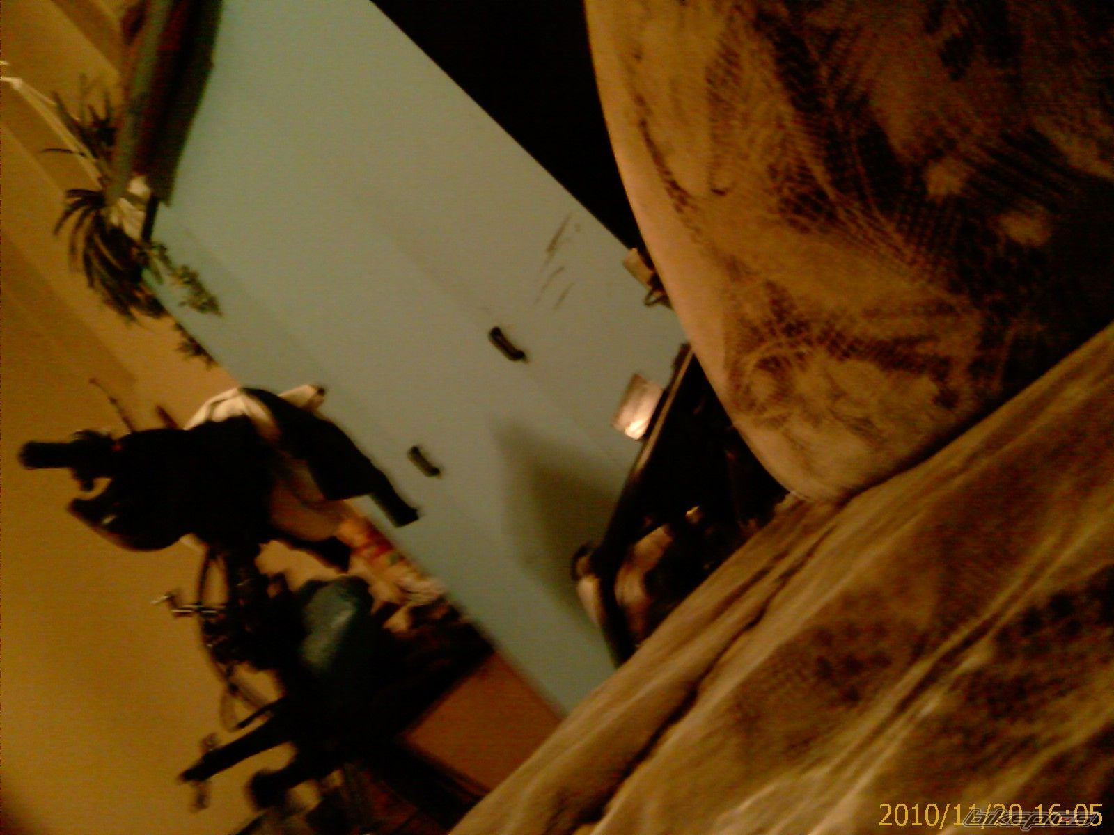 Photo 2108240