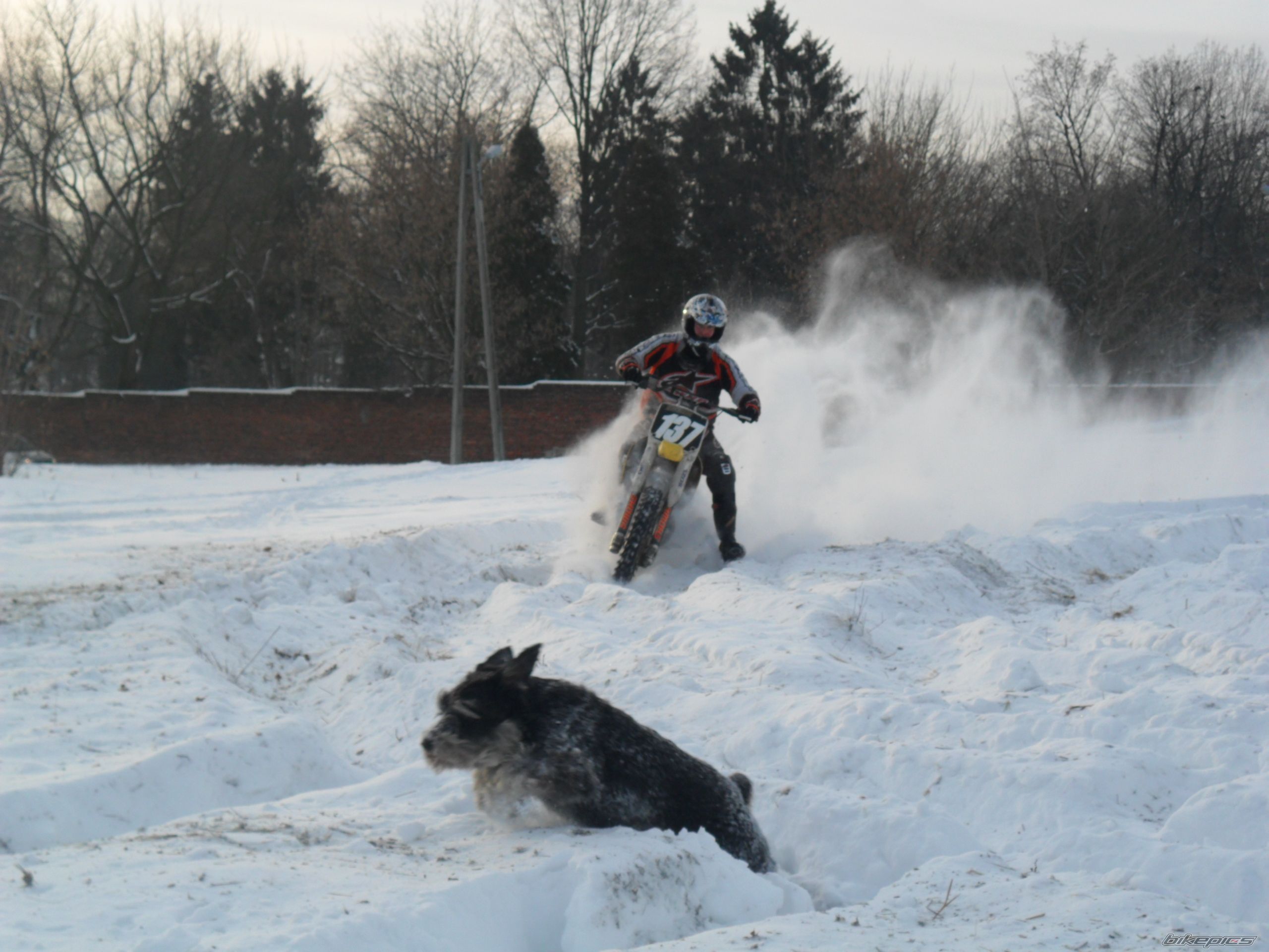 Photo 2109173
