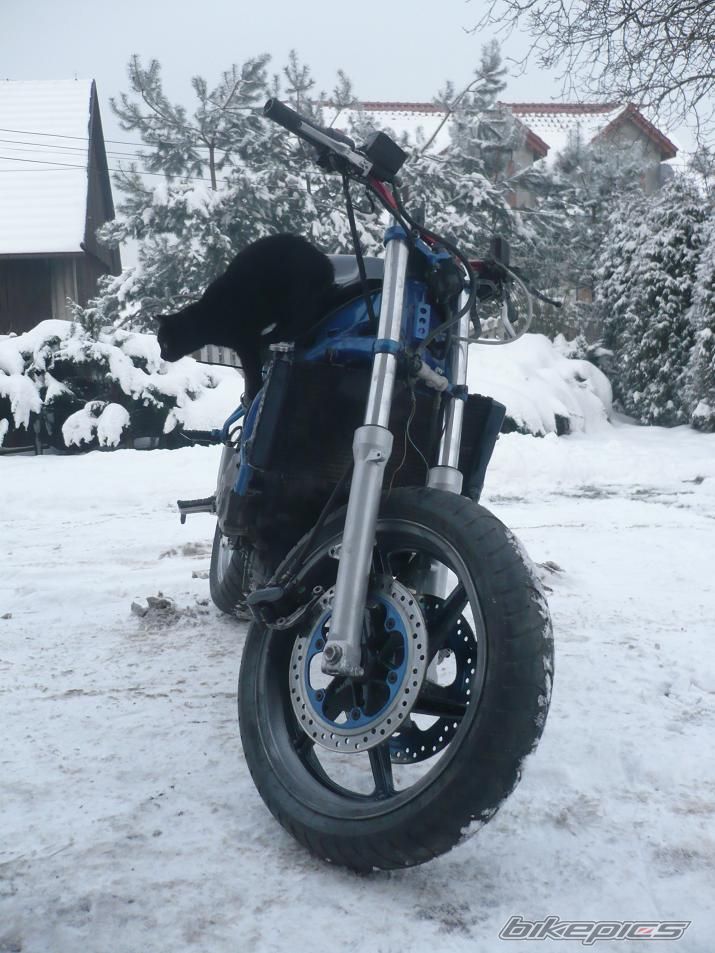 Photo 2109354