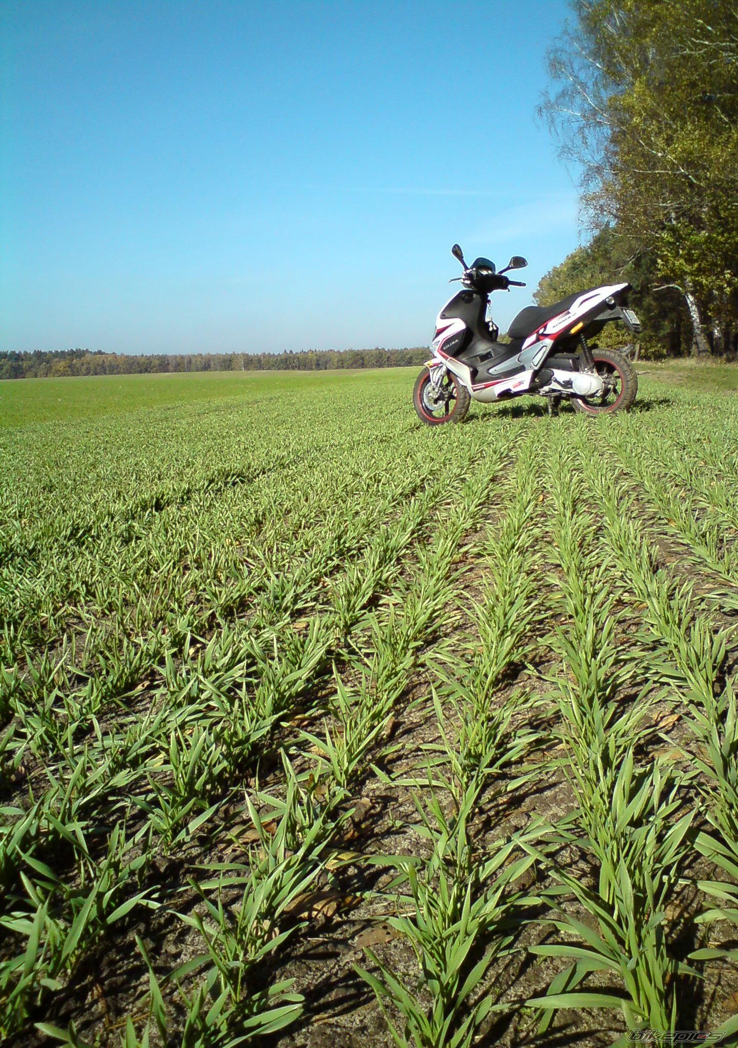 Photo 2109454