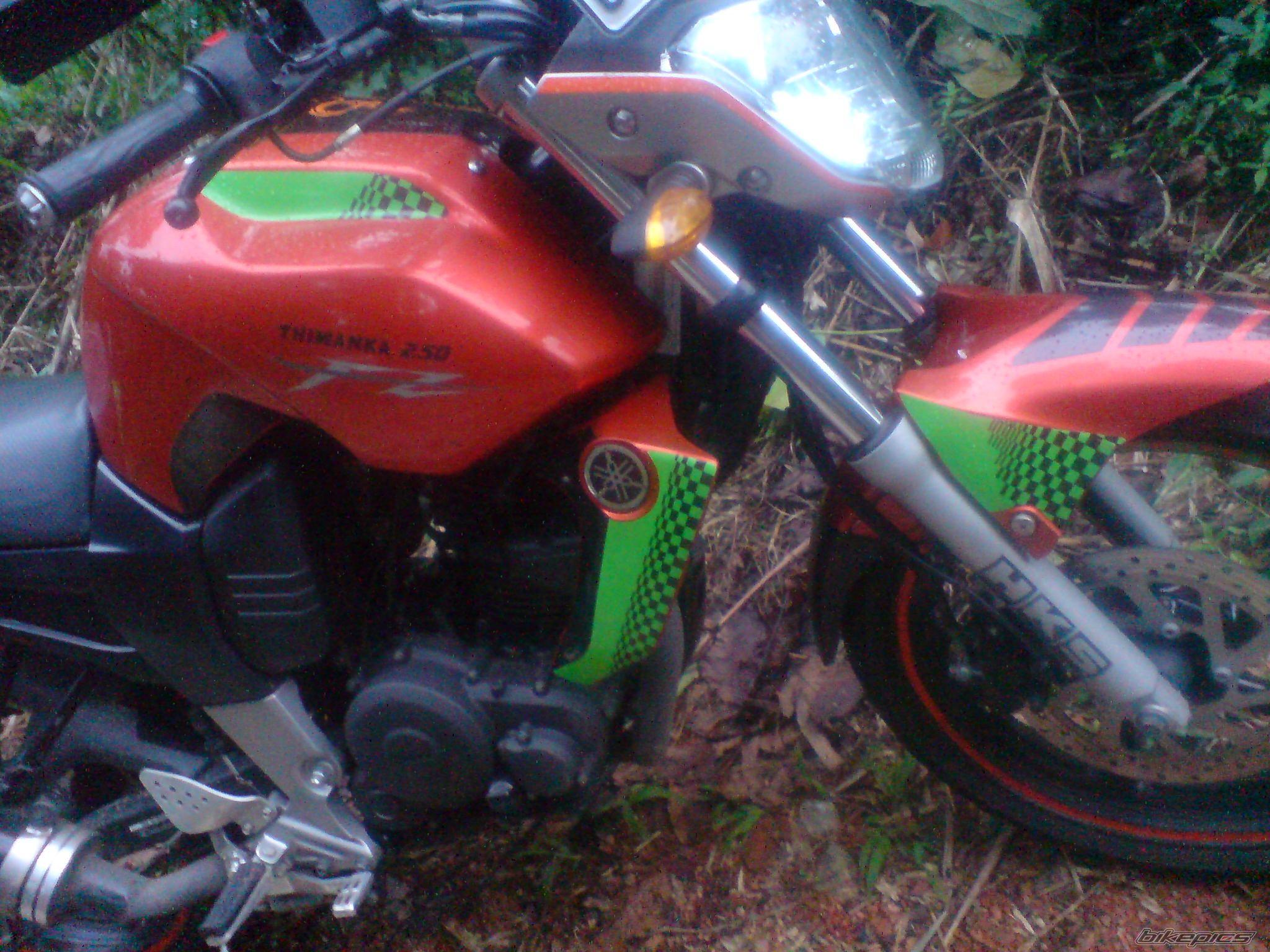 Photo 2109508