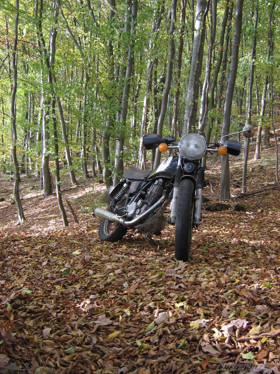 Bike Photo 2109689