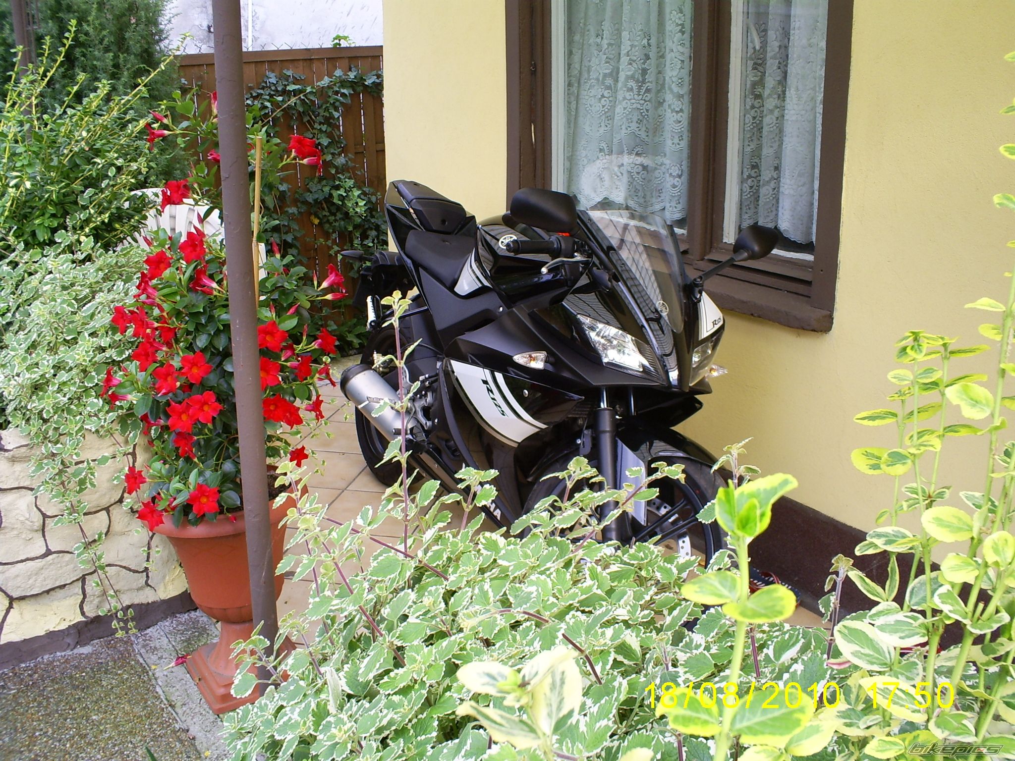 Photo 2109801