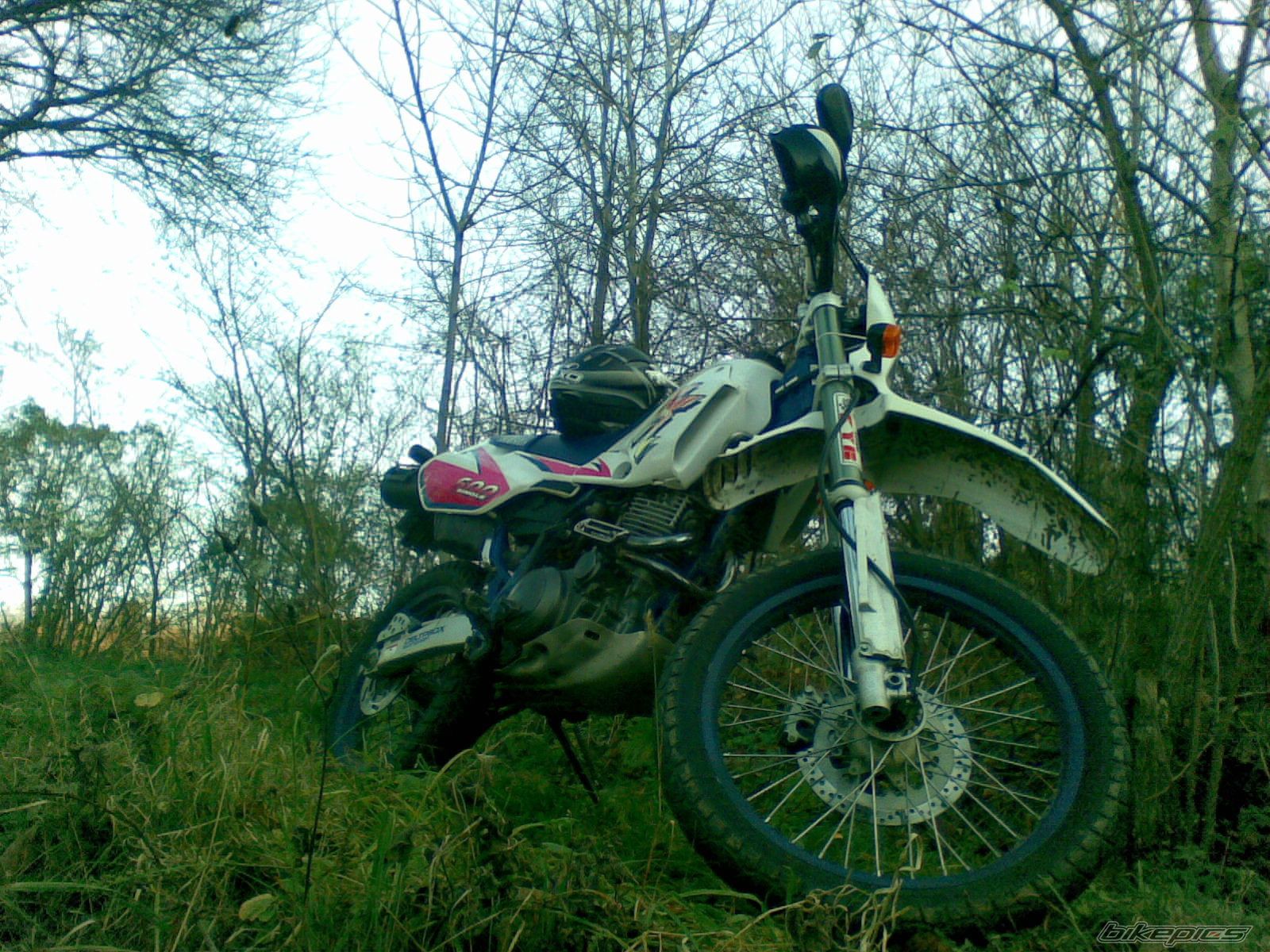 Photo 2109872