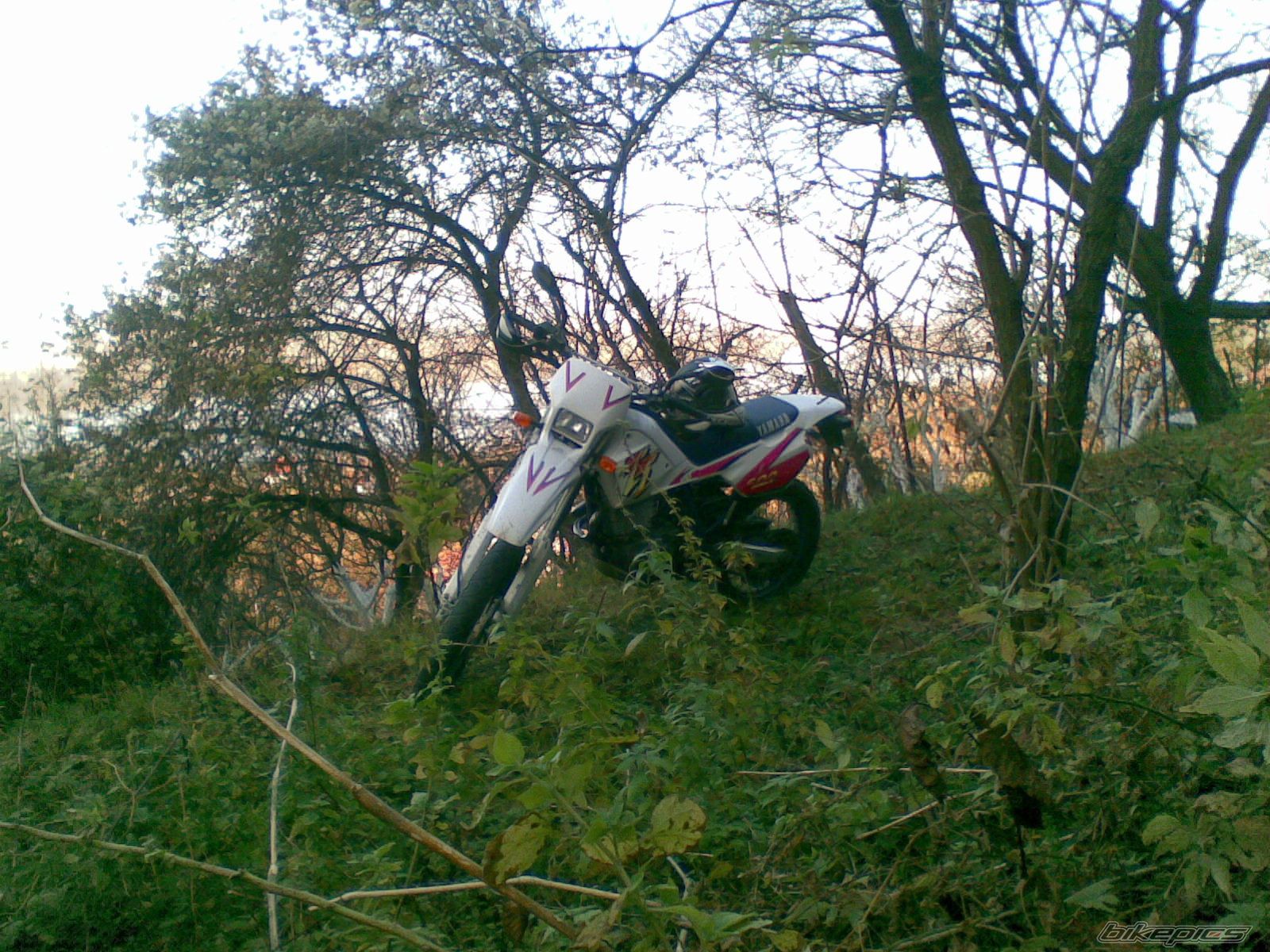 Photo 2109879
