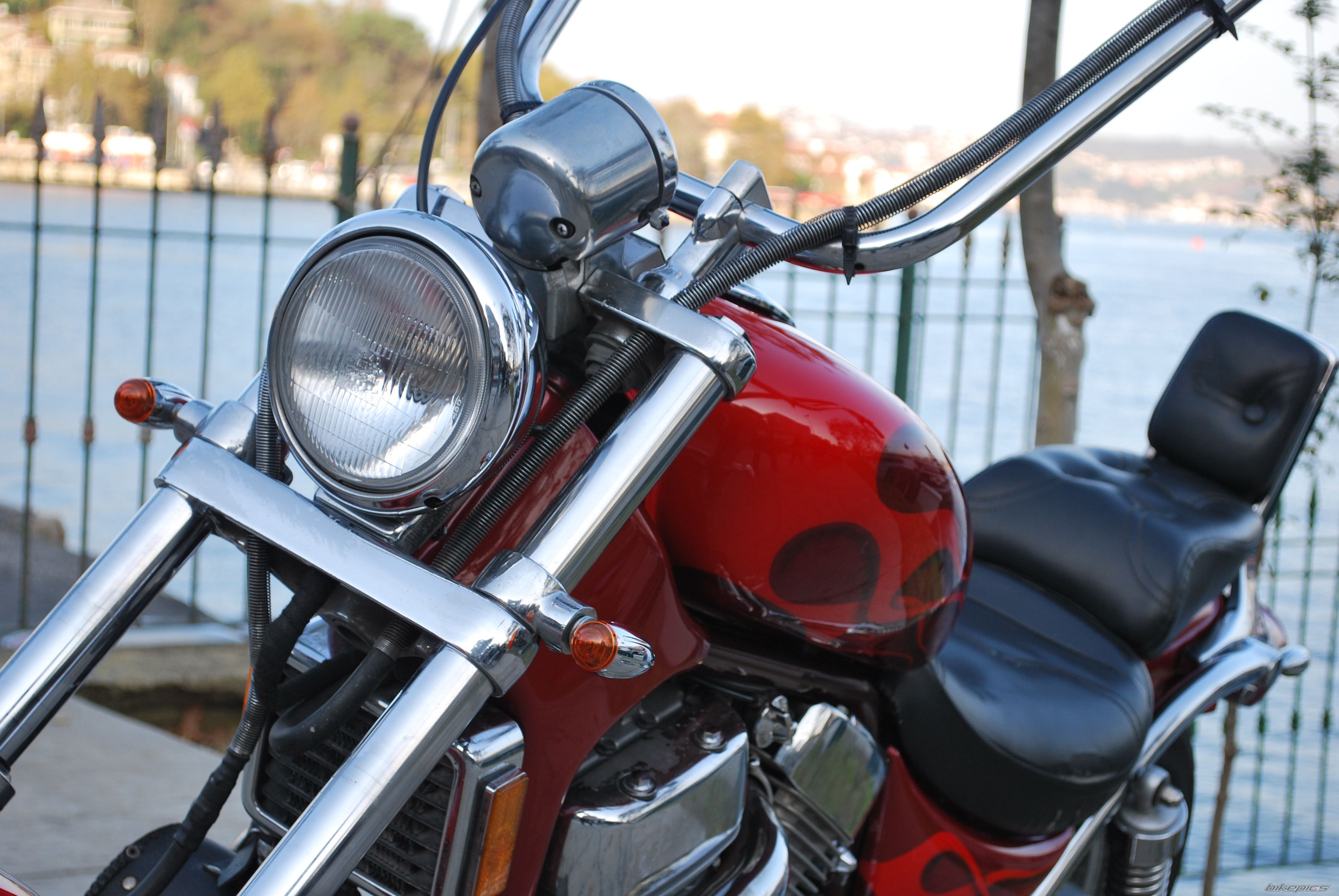 Photo 2110020
