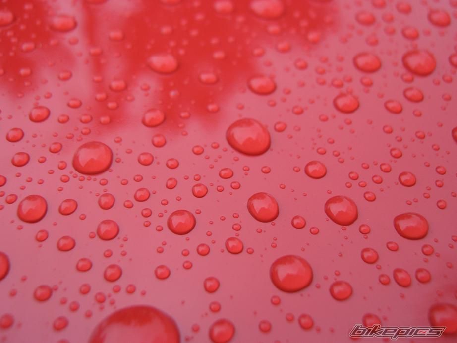 Photo 2110071