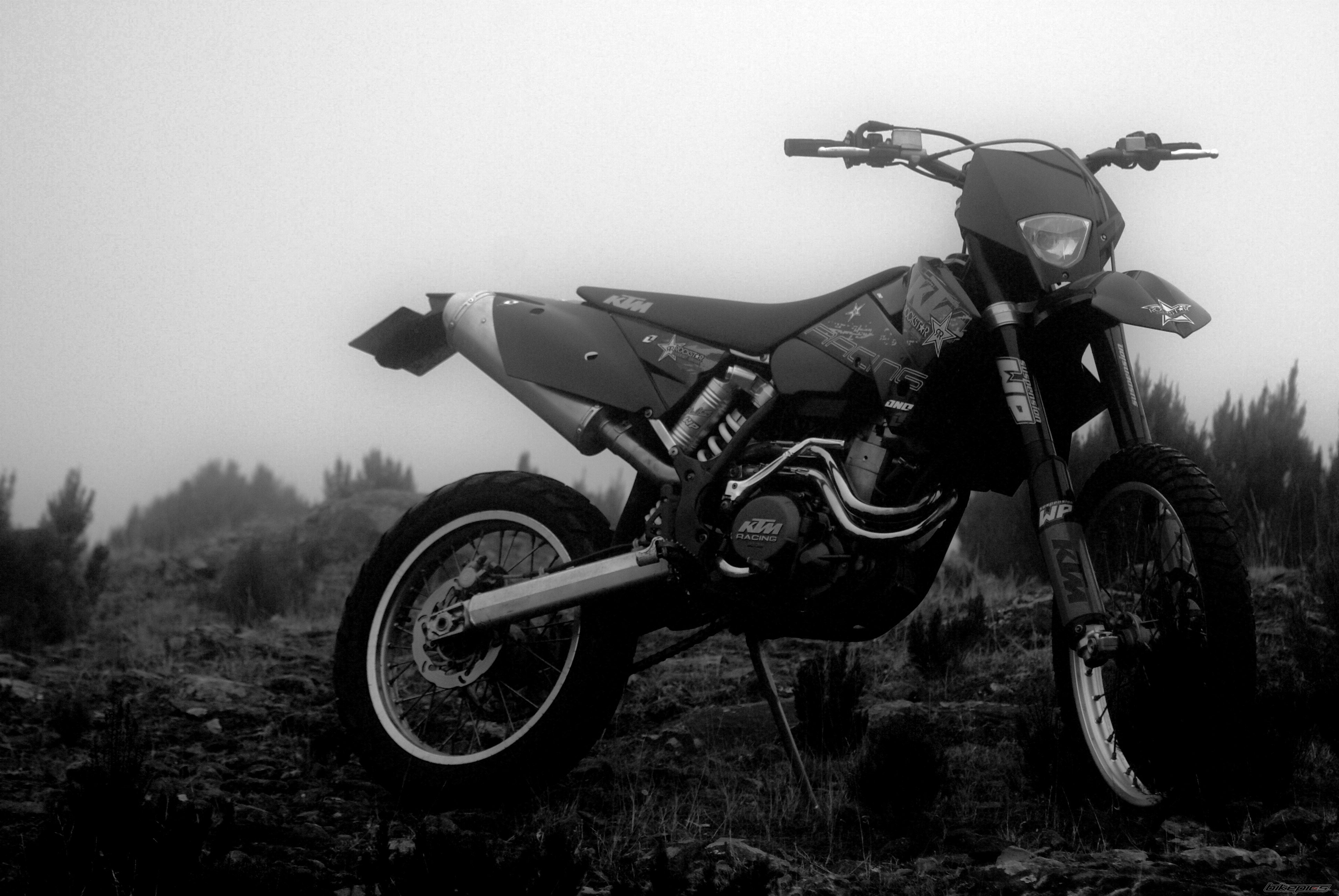 Photo 2110393