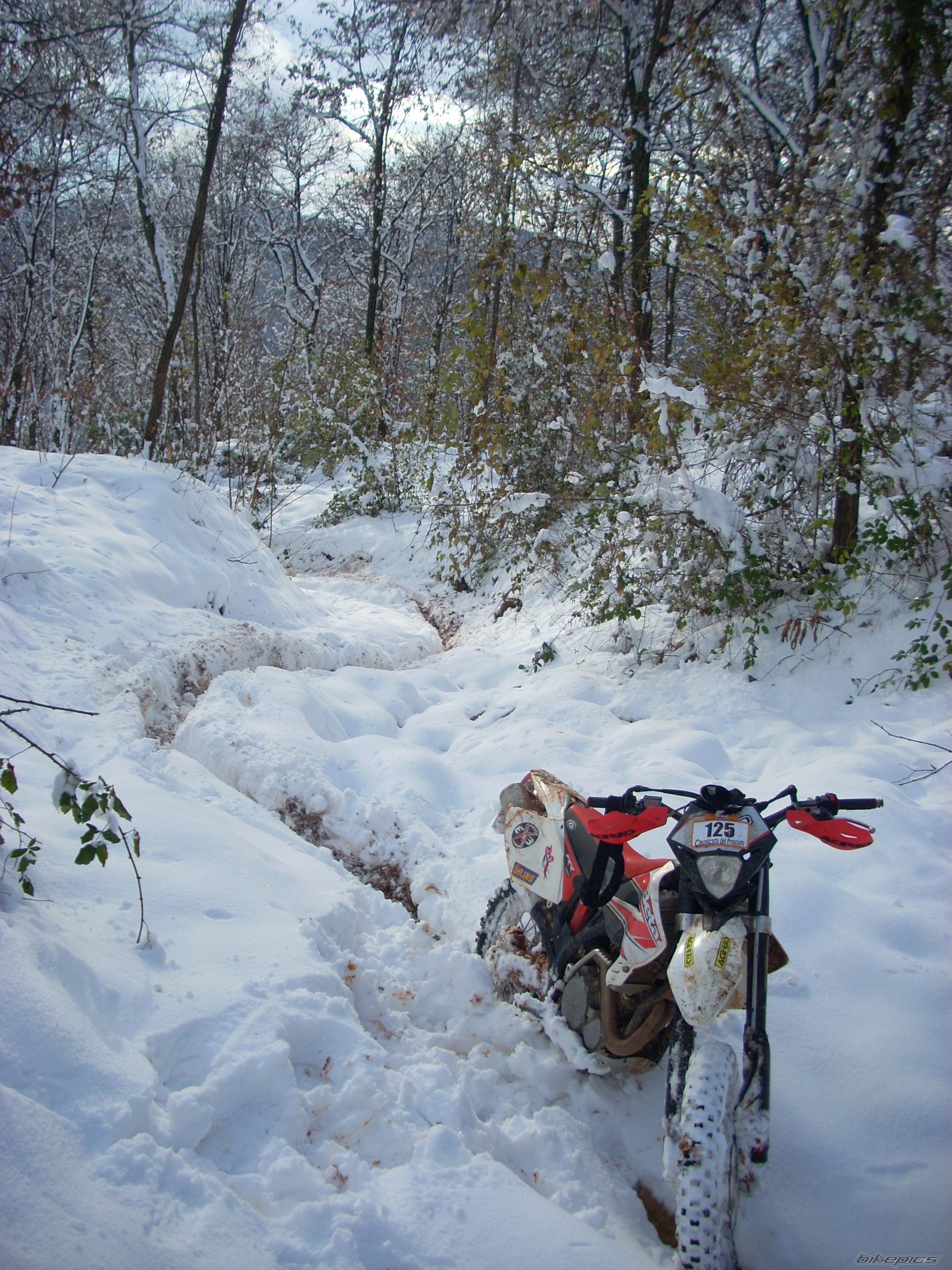 Bike Photo 2110834