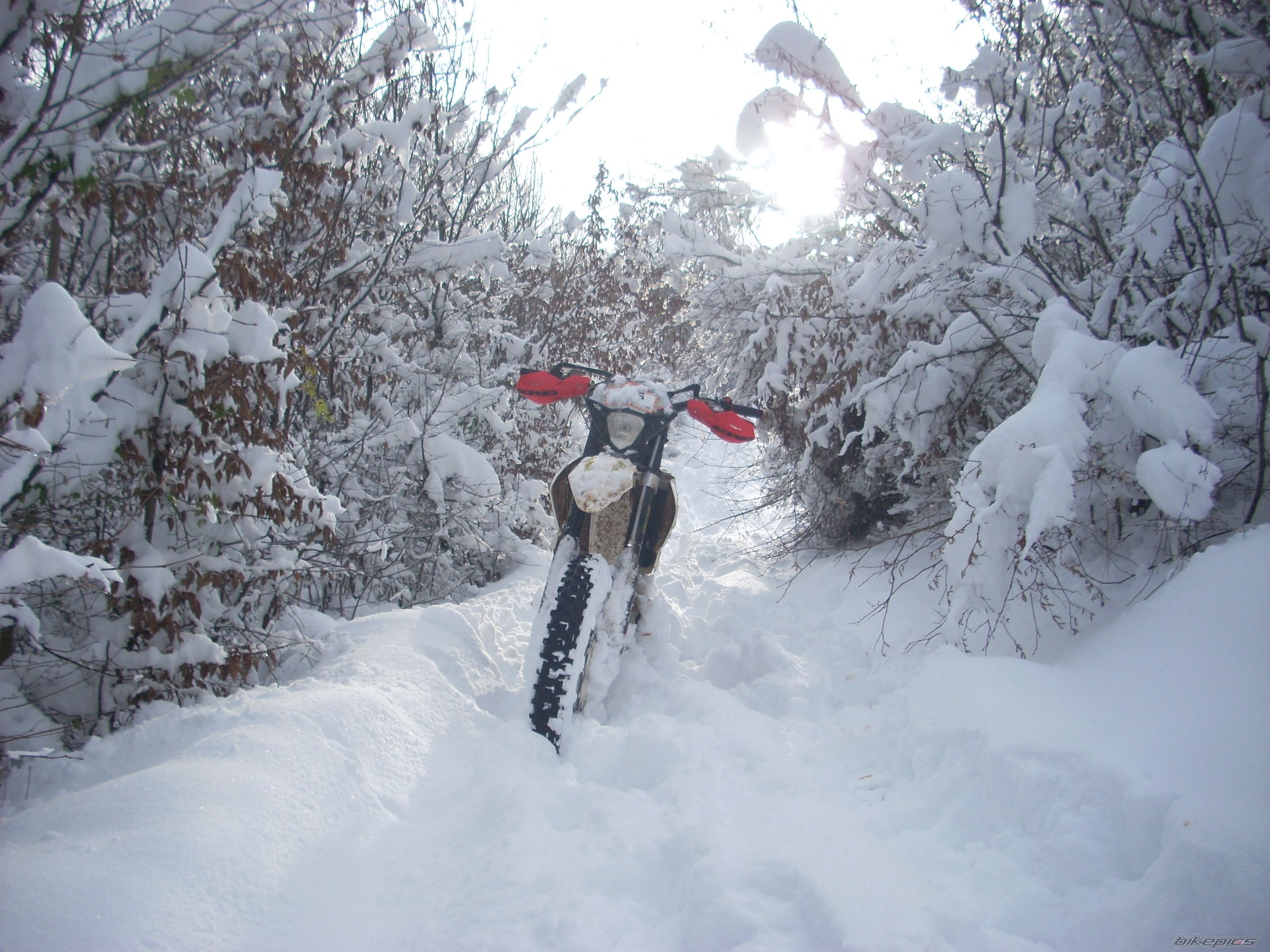 Bike Photo 2110836